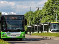 Tíz darab elektromos autóbuszt szerzne be Miskolc
